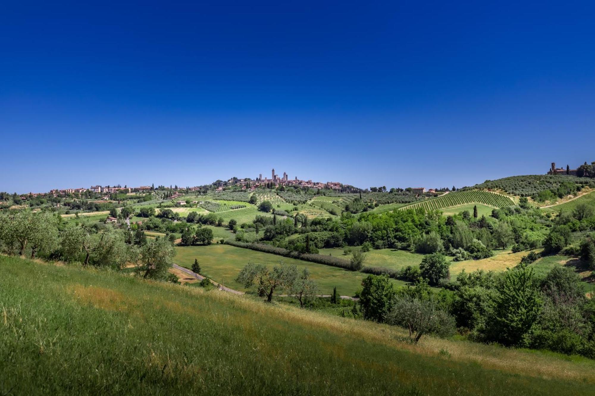 Agriturismo Poggiacolle San Gimignano Bagian luar foto