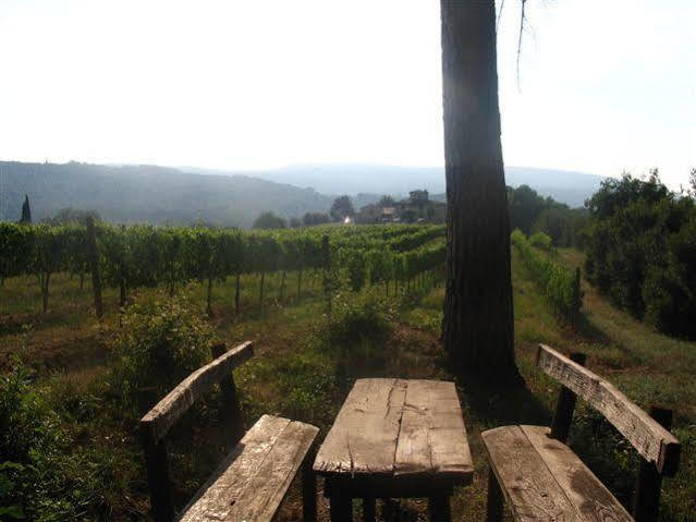 Agriturismo Poggiacolle San Gimignano Bagian luar foto