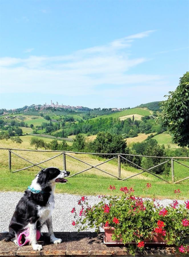Agriturismo Poggiacolle San Gimignano Bagian luar foto